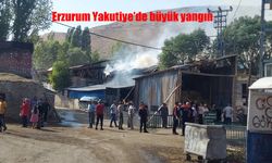 Erzurum Yakutiye'de Korkutan Yangın: Köyde Panik ve Hasar Büyük