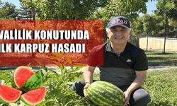 Muş Valisi Çakır, bahçesinde karpuz yetiştirdi: Sezonu açtık