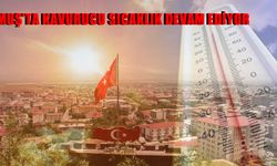 Muş'ta bu hafta hava nasıl olacak? İşte 5 günlük ayrıntılı rapor