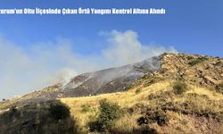 Erzurum’un Oltu İlçesinde Çıkan Örtü Yangını Kontrol Altına Alındı