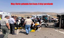 Muş-Varto kara Yolunda Kaza: 6 Kişi Yaralı