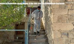 Batman’ın Köylerinde Akrep Alarmı: 6 Bin 500 Litre İlaçla Müdahale Başlatıldı