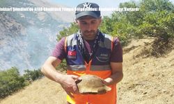 Hakkari Şemdinli’de AFAD Gönüllüsü Yangın Bölgesindeki Kaplumbağayı Kurtardı