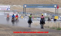 40 İlden 90 At Erzurum’da Yarıştı