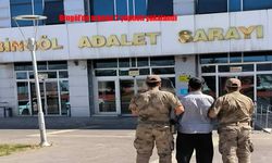 Bingöl’de aranan 2 kişi jandarma tarafından yakalandı
