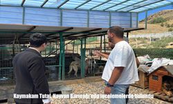 Kaymakam Tutal, Susuz Hayvan Barınağı’nı Ziyaret Etti
