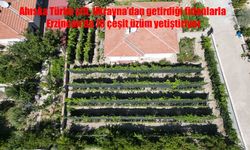 Ukrayna’dan Gelen Fidanlar, Erzincan’da 70 Çeşit Üzümle Hayat Buldu