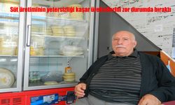 Süt Krizi Posof’ta Kaşar Üretimini Vurdu
