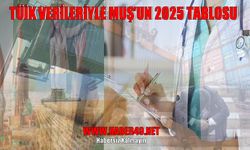 Göçten istihdama, eğitimden sağlığa TÜİK verileriyle Muş’un 2025 tablosu