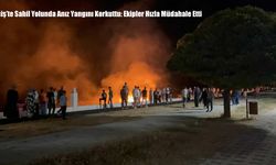 Erciş’te Sahil Yolunda Anız Yangını Korkuttu: Ekipler Hızla Müdahale Etti