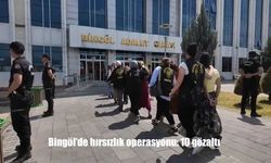 Bingöl'de Hırsızlık Operasyonu: 10 Şüpheli Gözaltına alındı