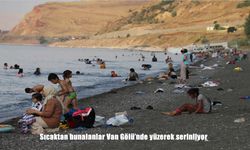 Van Gölü Sahillerinde Serinlemek İçin Akın Var