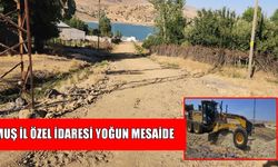 Muş'ta köy yolları güzelleşiyor