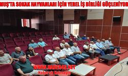 Varto’da sahipsiz hayvanlar için yeni planlama