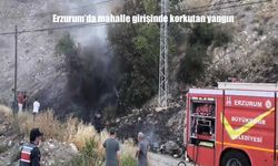 Erzurum-Artvin Karayolu Üzerinde Çıkan Yangın Mahalleliyi Ayağa Kaldırdı
