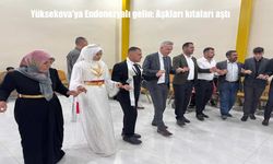 Kıtaları Aşan Aşk: Endonezya'dan Yüksekova'ya Uzanan Bir Hikâye