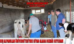 MAUN'da canlı doğum heyecanı: Öğrenciler buzağı doğumuna katıldı