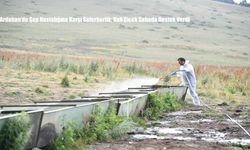 Ardahan’da Şap Hastalığına Karşı Seferberlik: Vali Çiçek Sahada Destek Verdi