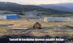 Tunceli’de karakola sürpriz ziyaret: Bozayı yemek molasında