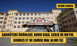 MESLEKİ VE TEKNİK ANADOLU LİSESİ - BULANIK BORSA İSTANBUL MİLLİ EĞİTİM BAKANLIĞI BAKAN YARDIMCILIKLARI