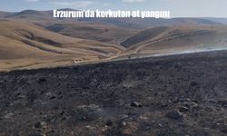 Erzurum Turaç’ta Otluk Yangını Korkuttu