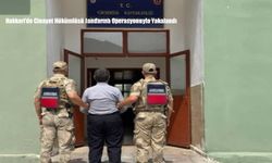 Hakkari’de Cinayet Hükümlüsü Jandarma Operasyonuyla Yakalandı
