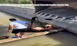 Iğdır’da Kanala Düşen İnek Film Gibi Operasyonla Kurtarıldı! Köylüler Seferber Oldu