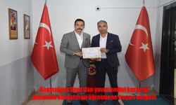 Yavru Kediyi Annesine Kavuşturan Öğretmene Kaymakamdan Başarı Belgesi