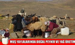 Muş'ta yaylalarda zorlu hayat: Besiciler doğal yöntemlerle peynir üretiyor