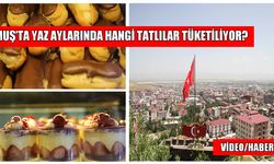 Muş'ta kavurucu sıcaklarla birlikte tatlı tercihleri de değişti