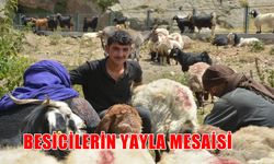 Muş'ta 'geçim' mücadelesi: Köylüler, hayvanları için tüm zorlukları göze alıyor