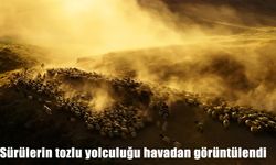 sürülerin tozlu yolculuğu havadan görüntülendi