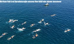 Merhum Vali Erol Karaömeroğlu anısına Van Gölü’nde yüzme maratonu düzenlendi