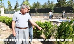 Patnos’ta çevre düzenleme çalışmaları sürüyor