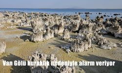 Van Gölü’nde Kuraklık Alarmı: Sular Metrelerce Çekildi, Doğal Yaşam Tehlikede