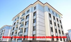 Malatya Temmuz ayında 816 konut satışıyla bölge ikincisi oldu