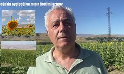 Doğu’da ayçiçeği ve mısır üretiminde rekor artış