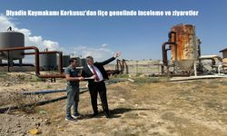 Diyadin Kaymakamı Korkusuz, İlçe Genelinde Yoğun Ziyaret ve İncelemelerde Bulundu
