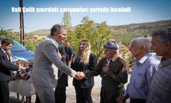 Hakkâri Çukurca’da Sınır Çalışmaları Yerinde Denetlendi: Vali Ali Çelik İncelemelerde Bulundu