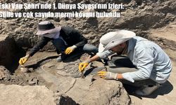 Eski Van Şehri’nde 1. Dünya Savaşı’ndan kalma gülle ve mermi kovanları bulundu