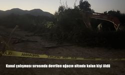 Erzincan’da Kanal Çalışması Faciası: Devrilen Ağacın Altında Kalan 75 Yaşındaki Rafet Bayrak Hayatını Kaybetti