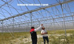 Erzincan’da Trafik Kazası: Otomobil Yoldan Savruldu, 2 Kişi Yaralandı