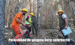 Palandöken’de Orman Yangınlarına Karşı Seferberlik: Erzurum’da Bakım Çalışmaları Başladı