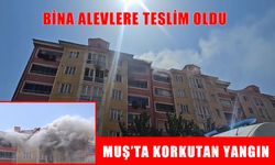 Muş’ta 7 katlı binada yangın paniği
