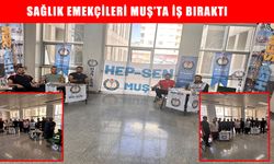 Muş'ta Hep-Sen sağlık emekçileri iş bıraktı: "Köle değiliz!"