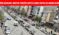 Muş’ta trafiğe kayıtlı araç sayısı açıklandı