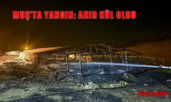 Muş’ta ahır alev alev yandı: Hayvanlar son anda kurtarıldı