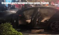 Van’da otomobil park halindeki cipe çarptı: 1 yaralı