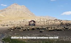 Hakkari’de şap hastalığı karantinası kaldırıldı