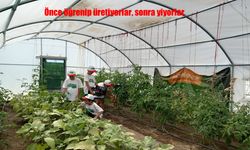 Erzincan Demirkent TOKİ Ortaokulu’nda öğrenciler sebze yetiştiriyor